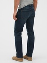 GAP Jeans Blu