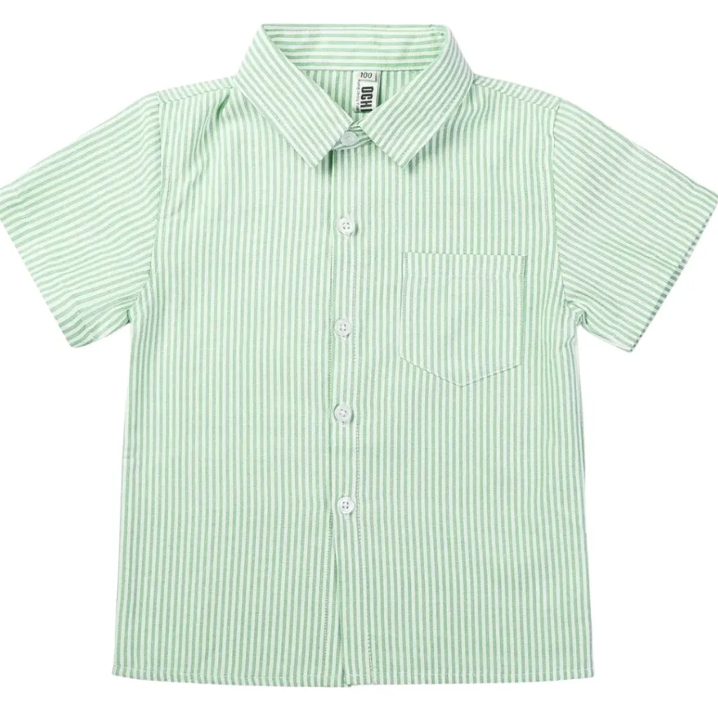Camisa Cuidado con el perro Kids C Blanco - verde rayas  T 10