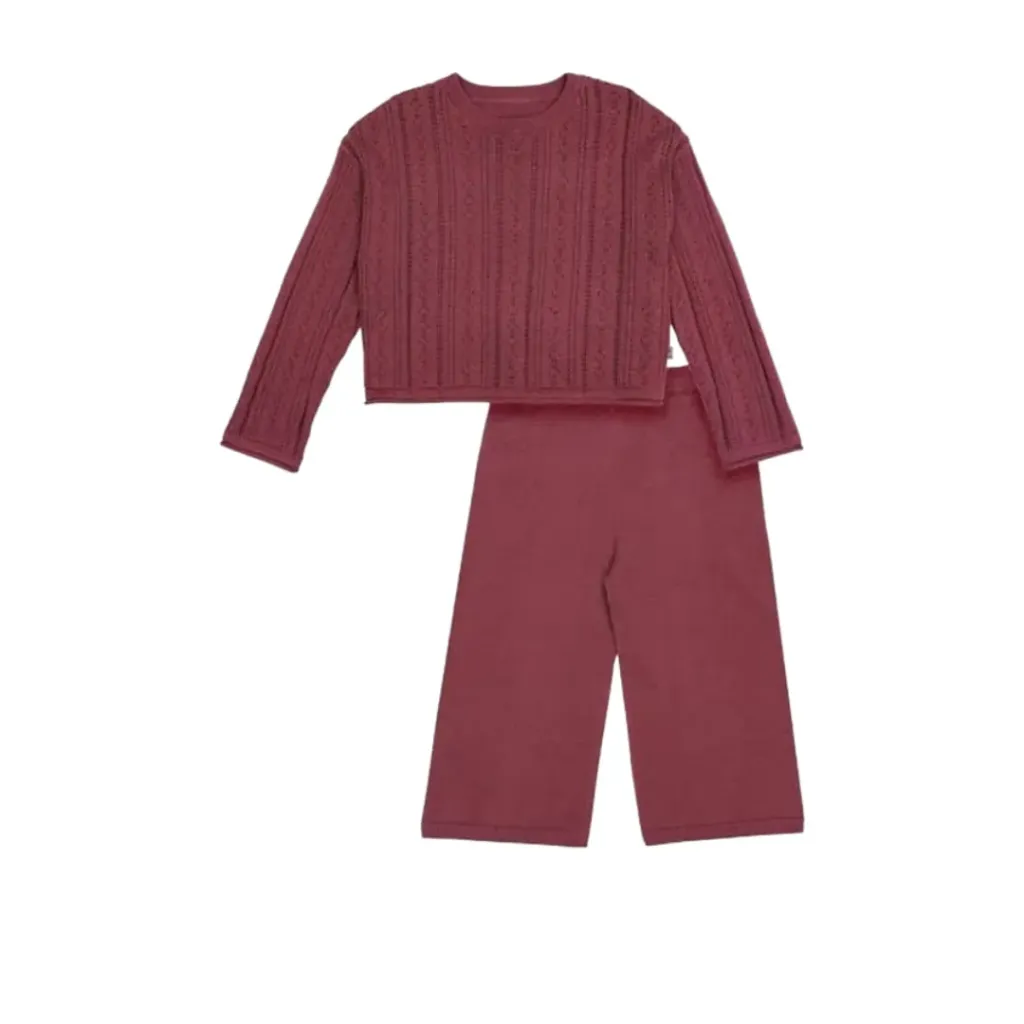 Conjunto Sueter Pants Gerber C Vino T 2